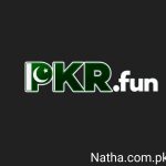 PKR.fun Game