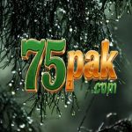 75PAK Game
