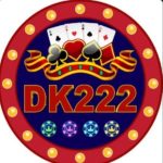 DK222 Game